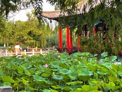 -咱家王新国把子肉(县东巷店)