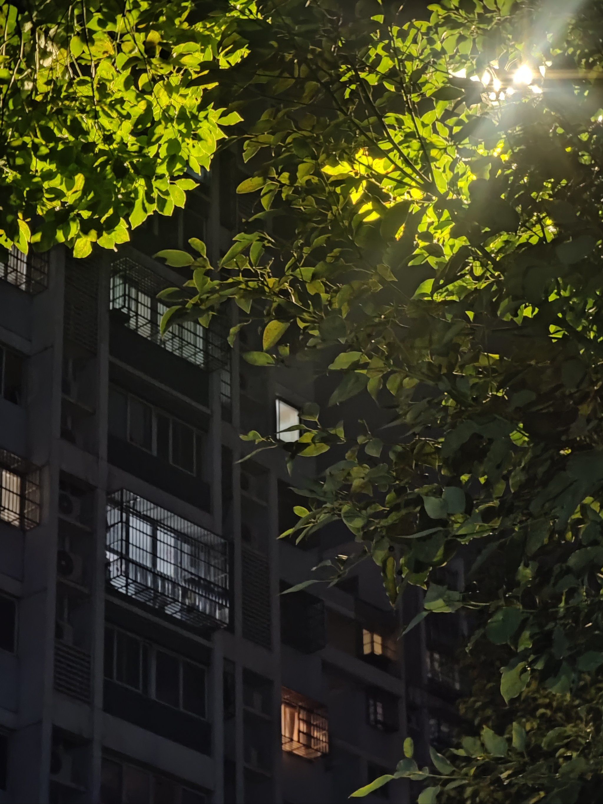 小区楼下的路灯