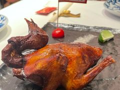 -侨美食家·40年地道粤菜(珠江新城店)