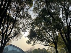 -上海吴淞炮台湾国家湿地公园
