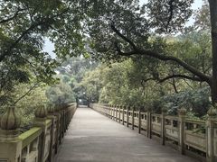 -南山植物园