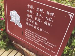 景点-枸杞岛