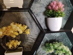 -水秀坊·足道 SPA (巨鹿店)