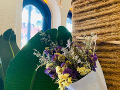 -Sirena海妖日咖夜酒