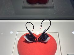 -BLACKSWAN黑天鹅(环球店)