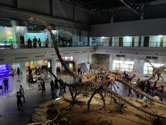 -自贡恐龙博物馆