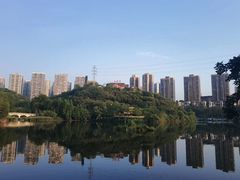 -重庆彩云湖湿地公园