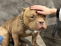 -HALO SOUL COFFEE·咖啡·甜品·简餐(嘉年华海信广场店)