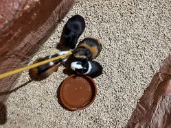 -Zoolung Zoolung动物主题公园(海信广场店)