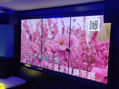 -皓声音KTV(新景店)