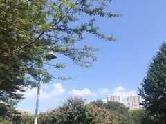 -白塘生态植物园