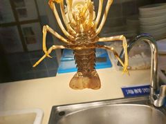 -三个渔夫·蒸汽海鲜(小白楼店)