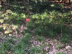 -尹兰楼西北风情餐厅(嘉定店)