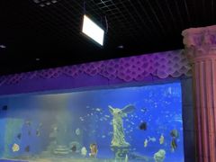 -梦幻海洋王国(吾悦广场张家港店)