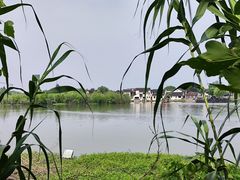 -沙家浜风景区