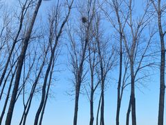 -汉长安城未央宫国家考古遗址公园