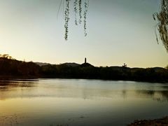 -北坞公园
