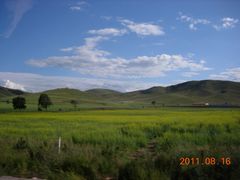 -塞罕坝国家级自然保护区