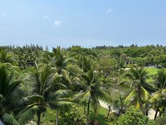 -海南清水湾莱佛士酒店