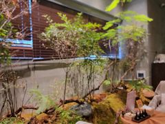 -森SPA·泰式按摩·精油Massage(宝安中心店)