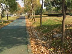 -同济大学(嘉定校区)