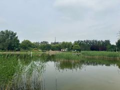 -太阳宫公园