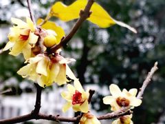 -神旺大酒店-停车场