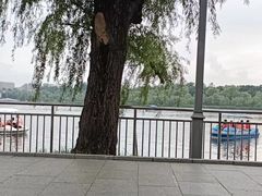 -长春市南湖公园