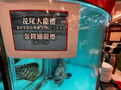 -西苑酒家(太古城店)