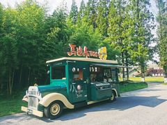 -黄海国家森林公园