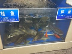 -新洪记·丽久饭店(铁西店)