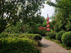 -慈城古县城景区