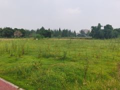 -蜀绣公园