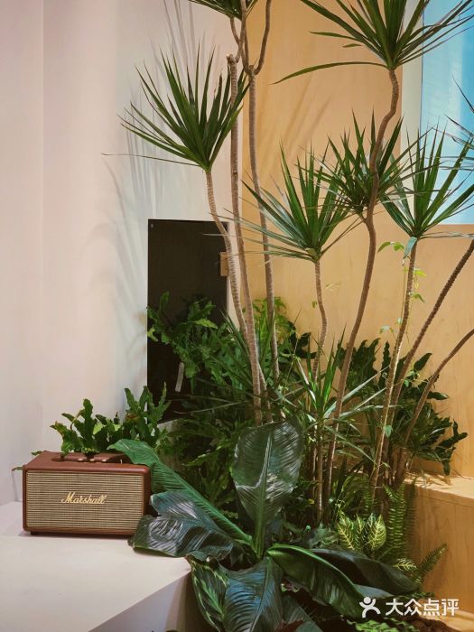 XI·LaundryCafe 喜咖自助洗衣咖啡店图片