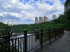 -重庆彩云湖湿地公园