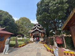 -云南民族村