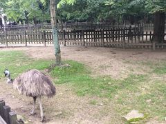 -南昌动物园