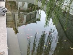 -济南方特东方神画