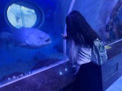 -多彩贵州城极地海洋世界