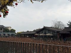 -莫催咖啡