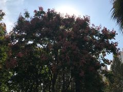 -苏州河梦清园环保主题公园