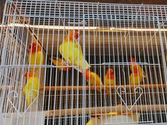 -宠爱我(南山店)