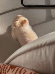 -Touch Nail·品质·美甲美睫