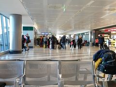 -米兰马尔彭萨国际机场