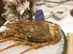 -海月轩海鲜豆捞(紫金塔店)