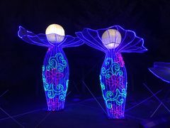 -长春公园(普阳街道)