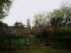 -上海市龙华烈士陵园