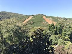 -天目湖御水温泉·度假酒店