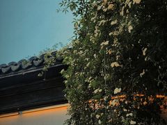 -木渎古镇