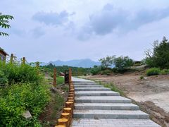 -白水寺森林公园